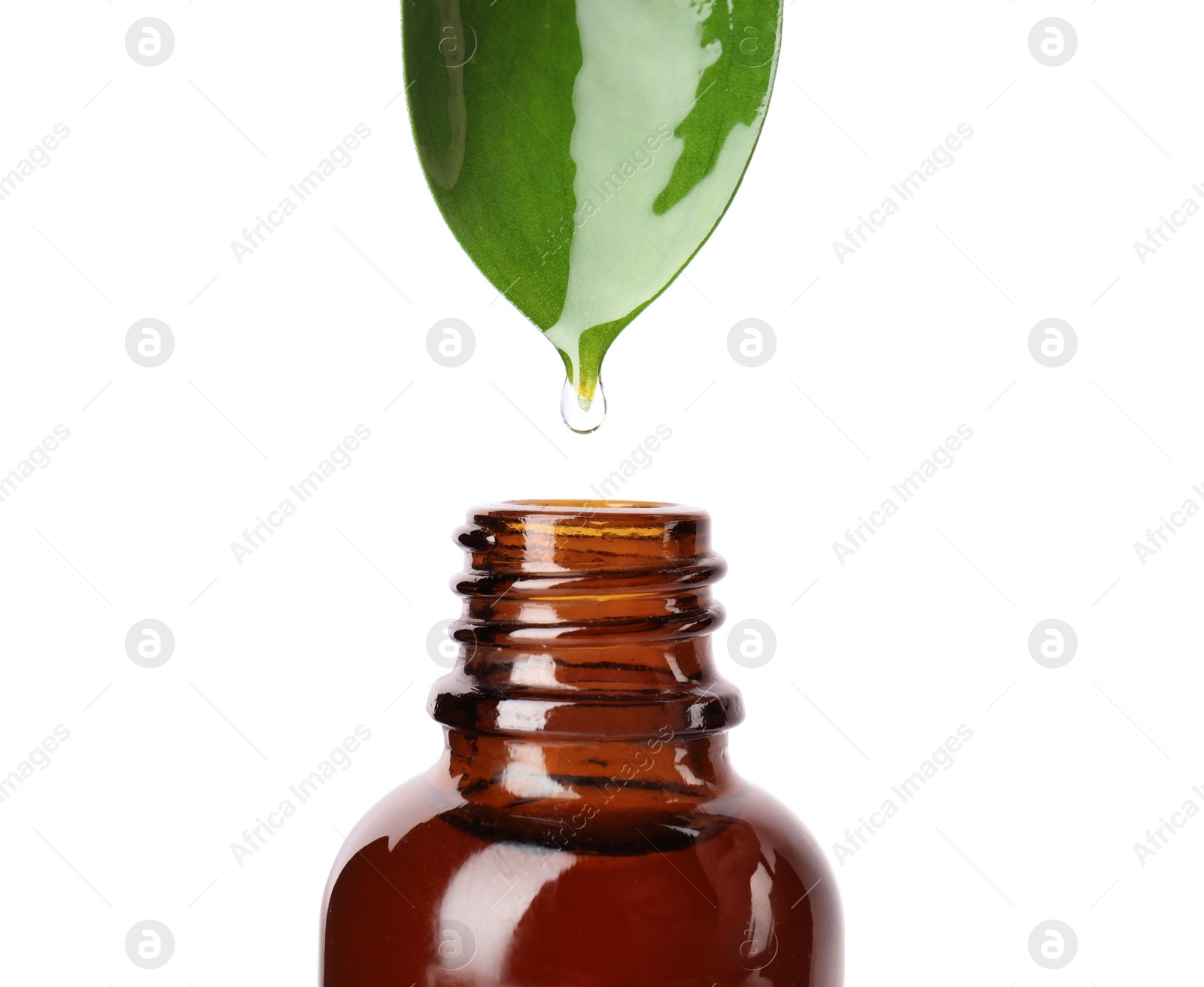 Photo of Essential oil drop falling from green leaf into glass bottle on white background, closeup