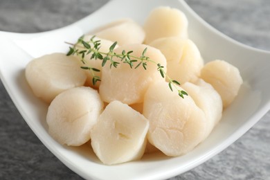 Photo of Fresh raw scallops and thyme in bowl on grey table, closeup