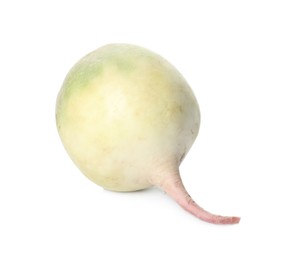 Whole fresh ripe turnip on white background