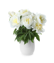 Photo of Beautiful blooming peonies in vase isolated on white