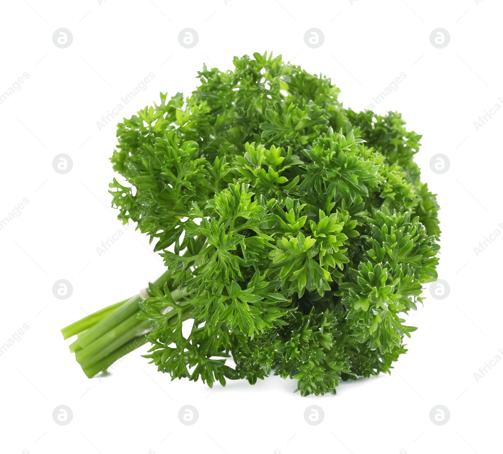 Photo of Bunch of fresh green parsley on white background