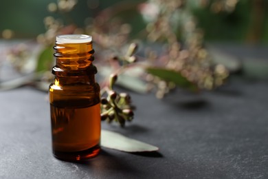 Photo of Bottle of eucalyptus essential oil and plant branches on grey table, space for text