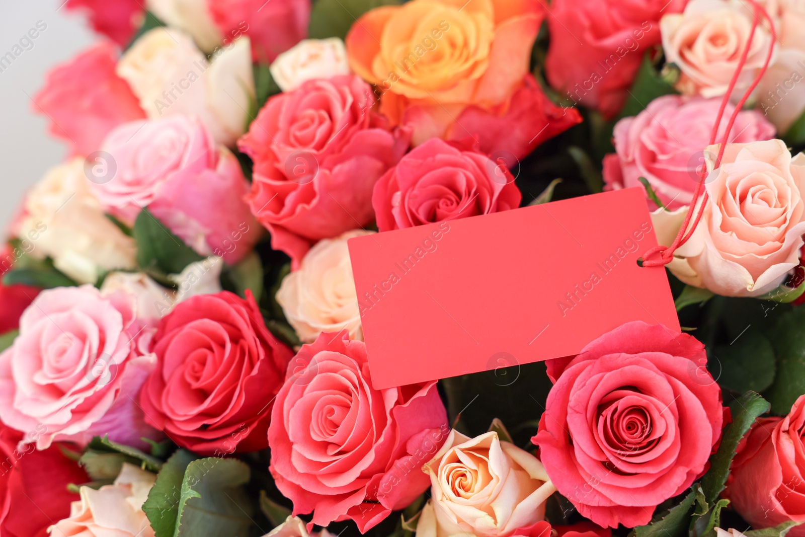 Photo of Bouquet of beautiful roses with blank card, closeup