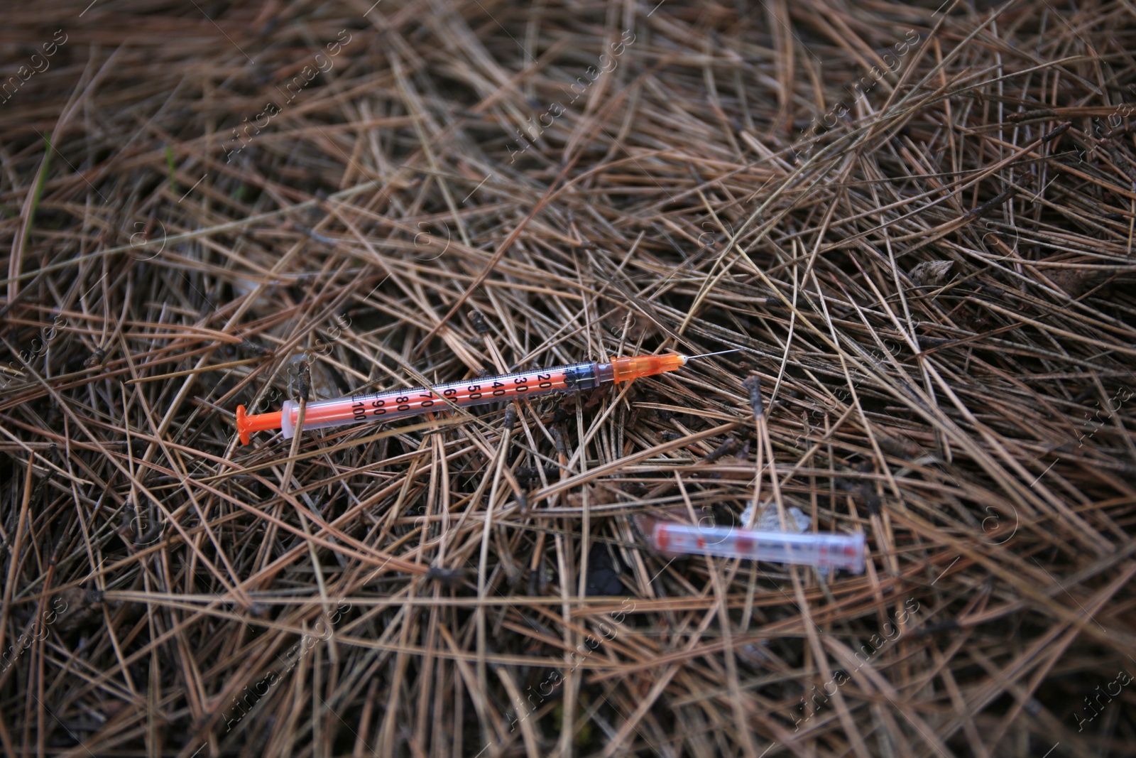 Photo of Disposable syringe with needle on heap of dry branches