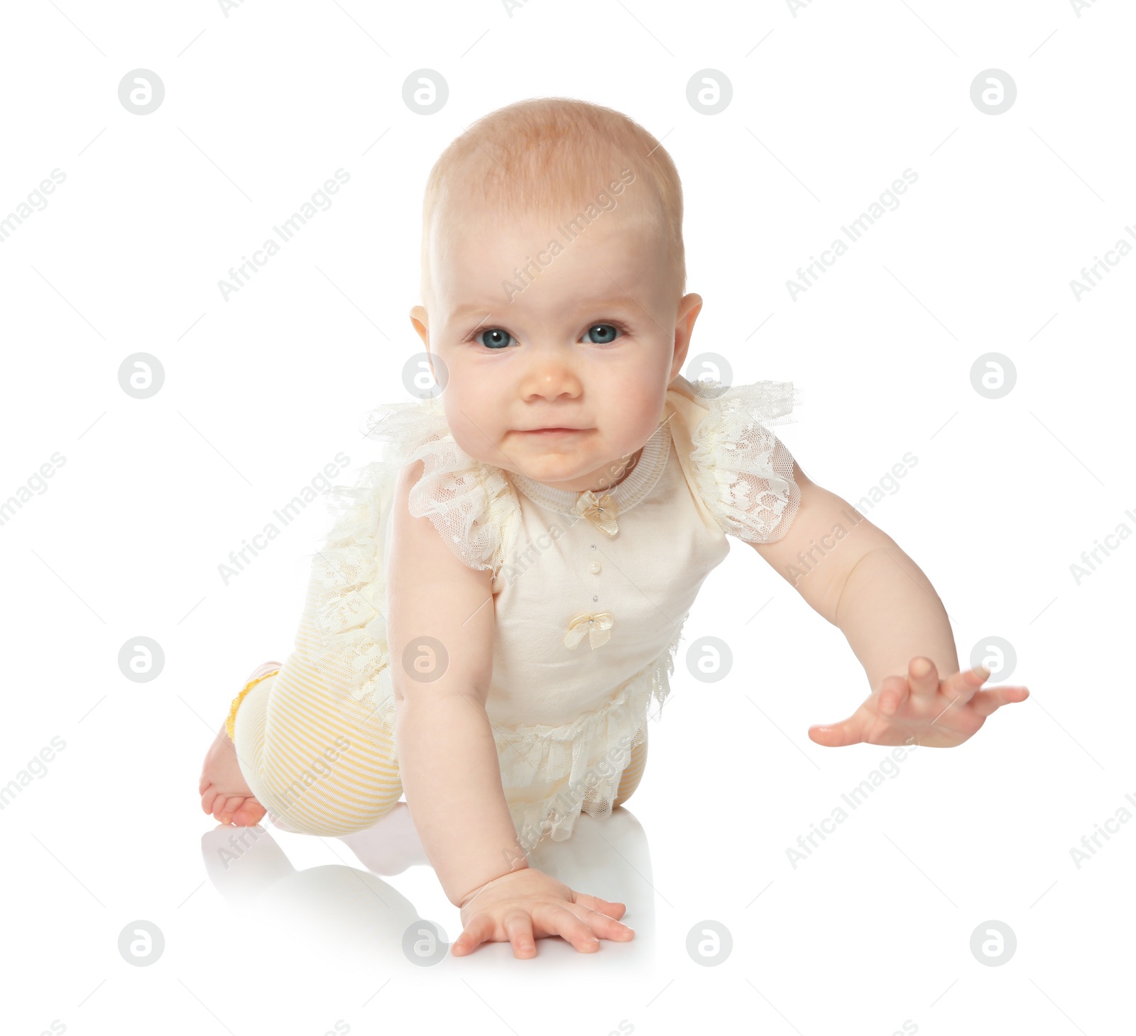 Photo of Cute little baby crawling on white background