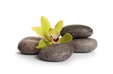 Photo of Spa stones with beautiful orchid flower on white background