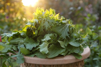 Photo of Many fresh green herbs on wooden table outdoors