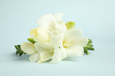 Photo of Beautiful freesia flowers on light blue background