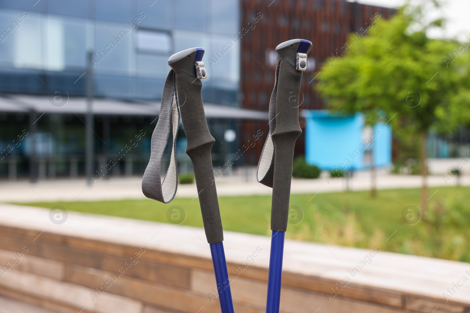 Photo of Two poles for Nordic walking outdoors, closeup