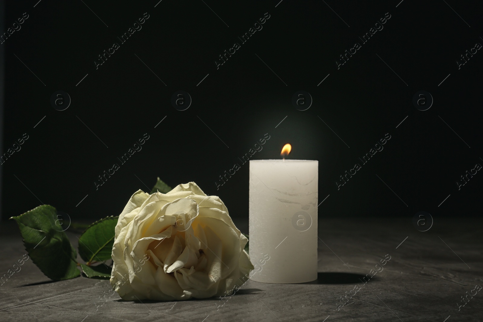 Photo of Beautiful white rose and candle on table against black background. Funeral symbol