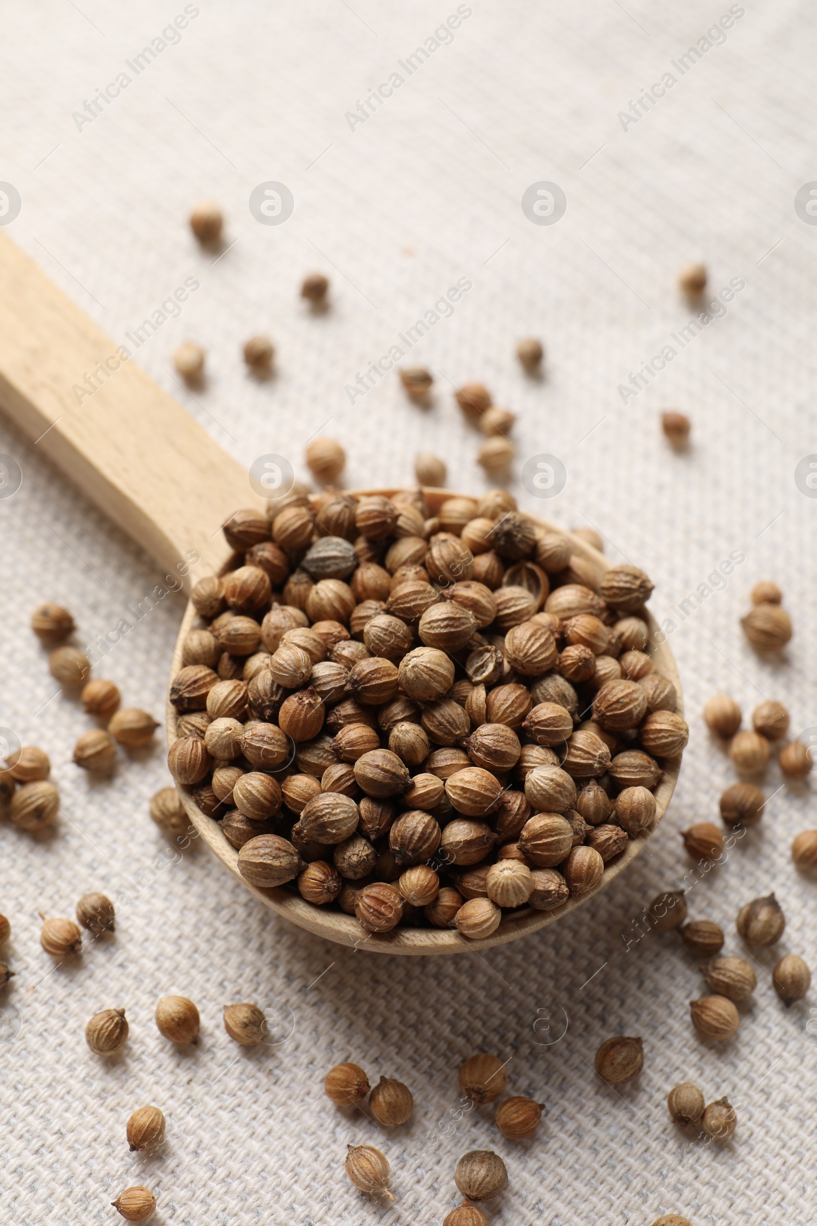 Photo of Spoon with dried coriander seeds on light cloth, top view