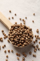 Spoon with dried coriander seeds on light cloth, top view