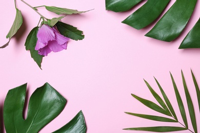 Photo of Flat lay composition with tropical leaves and Hibiscus flower on pink background. Space for text