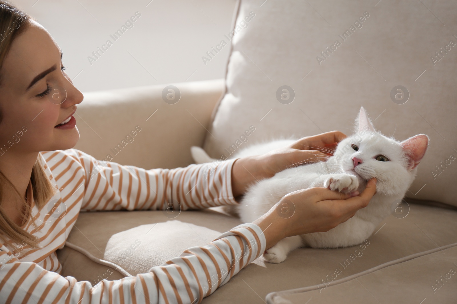 Photo of Young woman petting her beautiful white cat at home. Fluffy pet