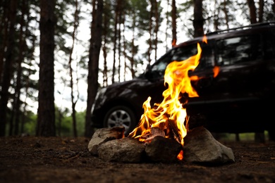 Photo of Beautiful bonfire with burning firewood near car in forest