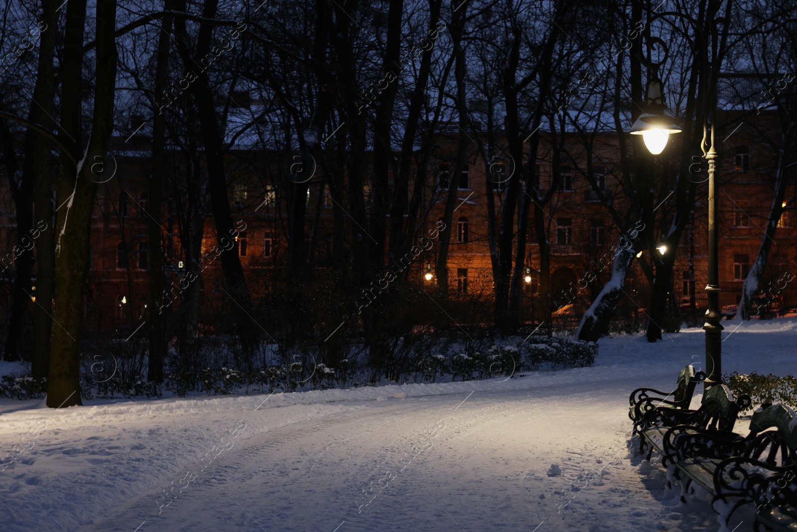 Photo of Trees, street lamp and pathway covered with snow in evening park