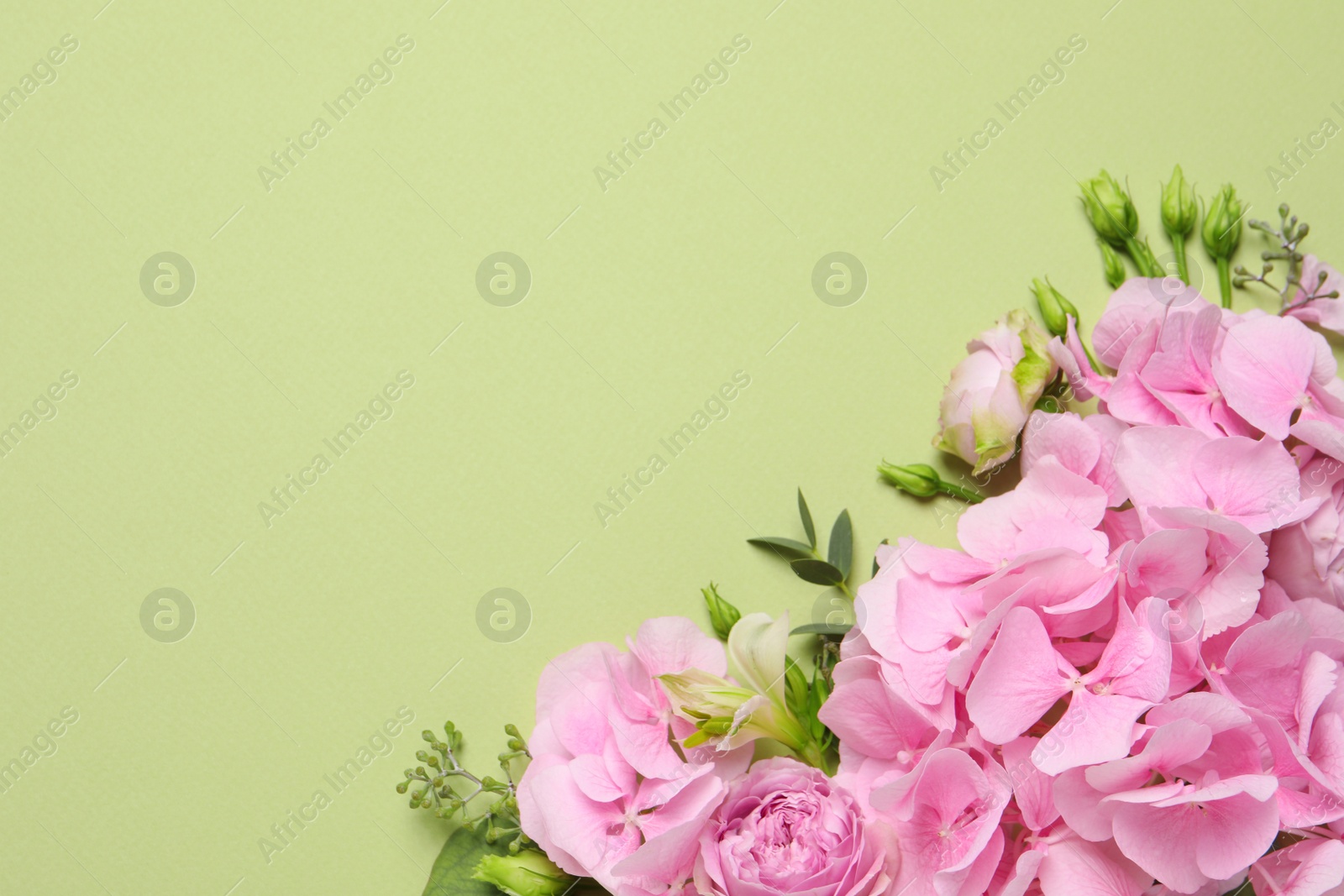 Photo of Beautiful composition with hortensia flowers on green background, flat lay. Space for text