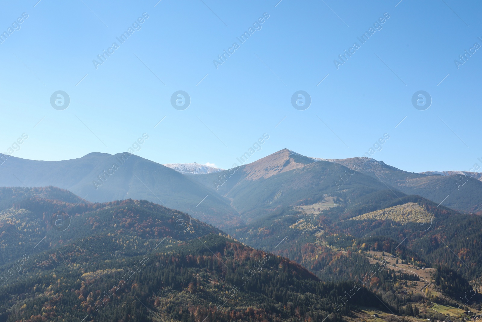 Photo of Picturesque view of mountain landscape with beautiful forest on sunny day