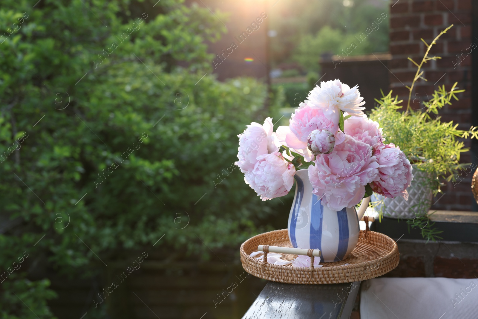 Photo of Beautiful pink peony flowers in vase on balcony railing outdoors. Space for text