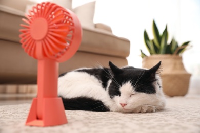 Photo of Cute fluffy cat enjoying air flow from fan on floor indoors. Summer heat