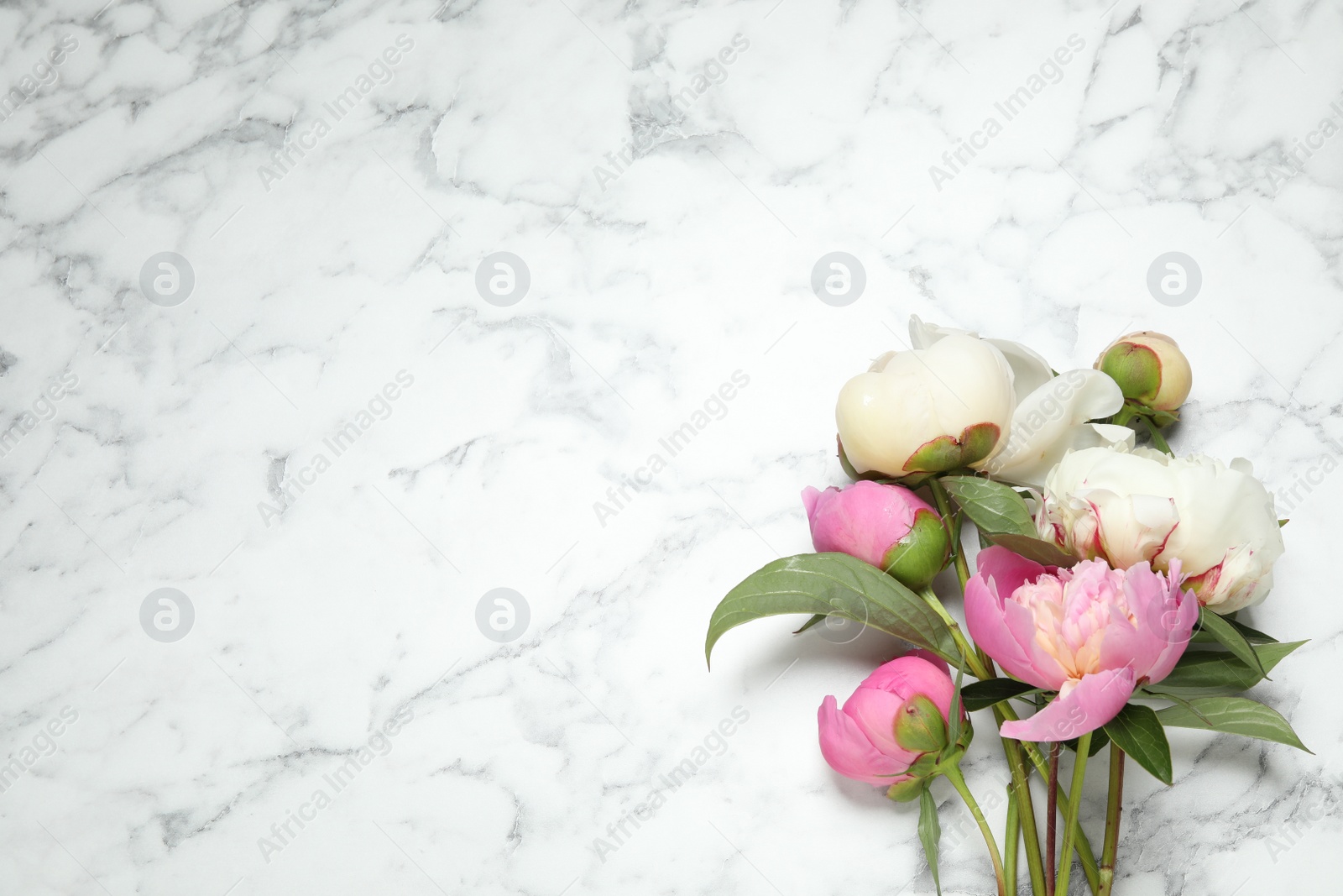 Photo of Beautiful peonies on white marble background, flat lay. Space for text