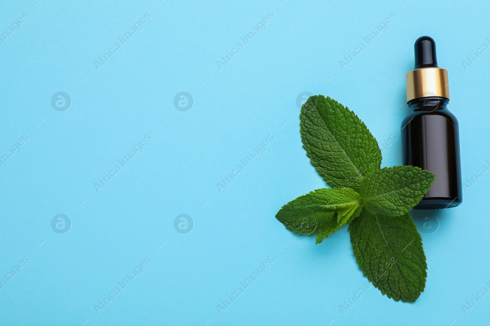 Photo of Bottle of essential oil and mint on light blue background, flat lay. Space for text