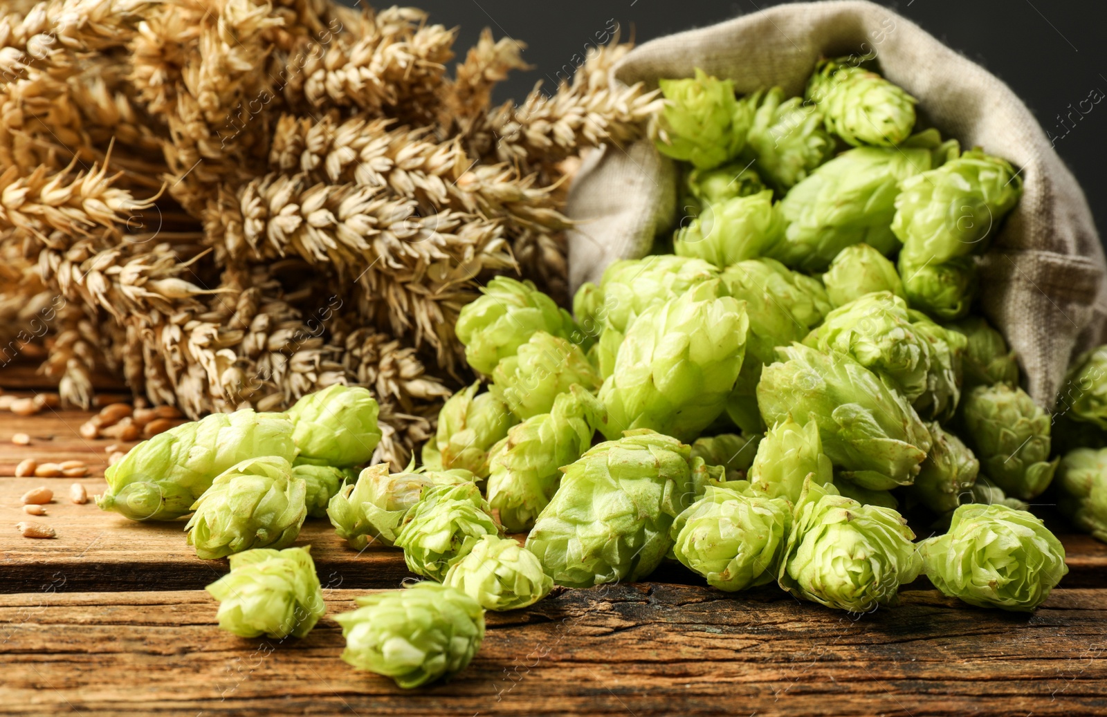 Photo of Overturned sack of hop flowers and wheat ears on wooden table, closeup