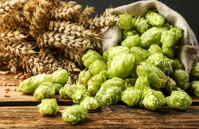 Overturned sack of hop flowers and wheat ears on wooden table, closeup