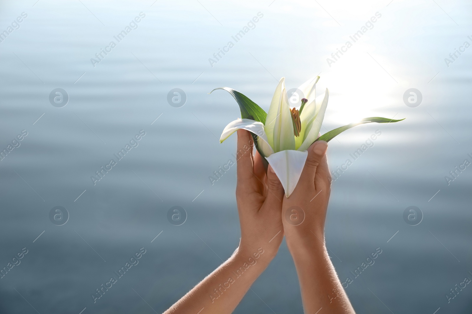 Photo of Woman with beautiful lily flower near river, closeup. Nature healing power