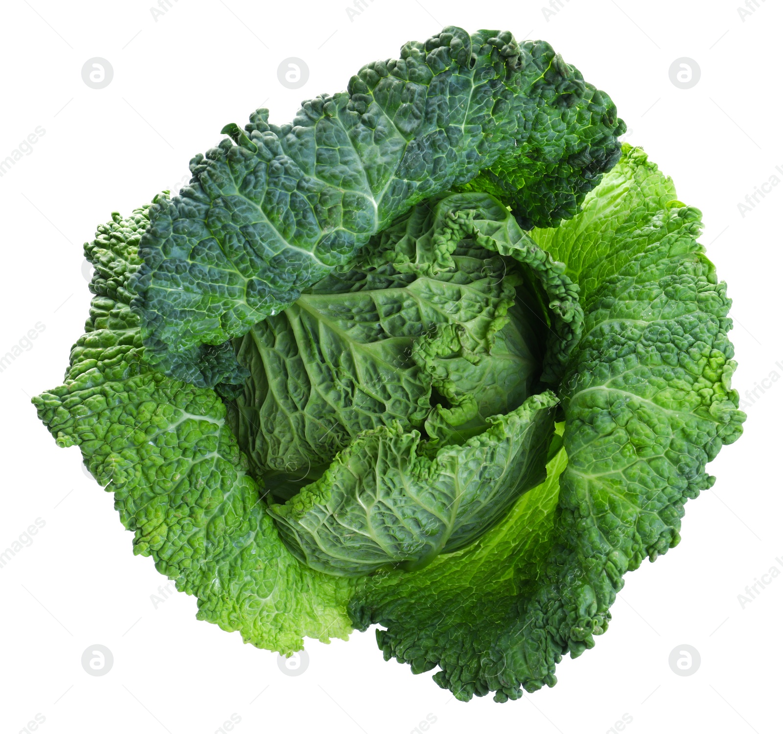 Photo of Fresh ripe savoy cabbage isolated on white, top view