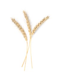 Photo of Ears of wheat on white background. Cereal plant
