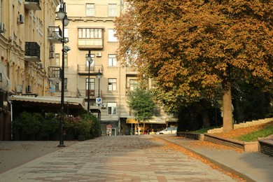 Photo of Picturesque view of quiet street with beautiful buildings, pavement and trees