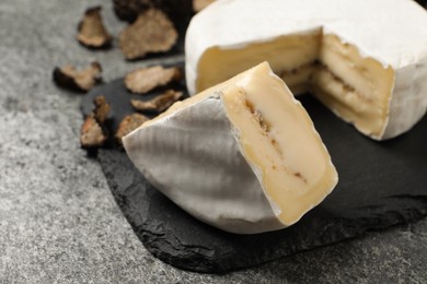 Delicious truffle cheese on grey table, closeup