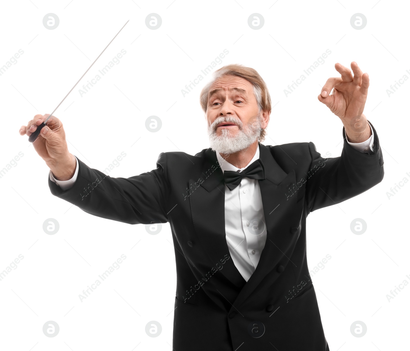 Photo of Professional conductor with baton on white background