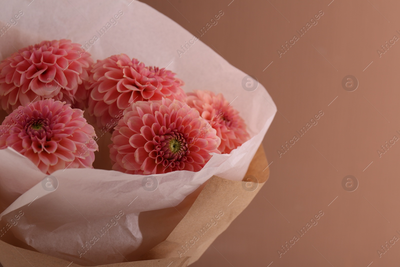 Photo of Bouquet of beautiful dahlia flowers on beige background, space for text