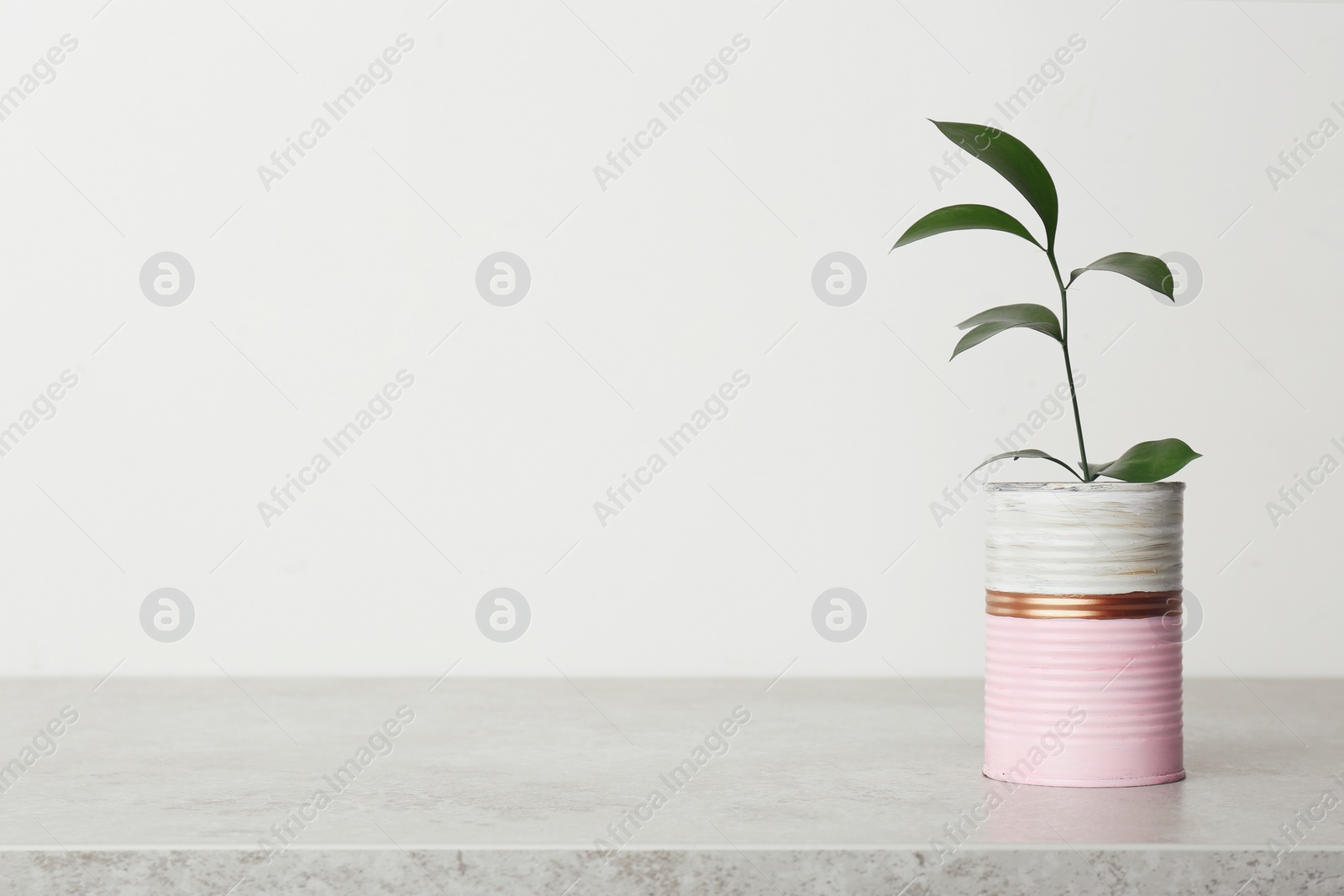 Photo of Beautiful houseplant in color tin can on light grey stone table. Space for text