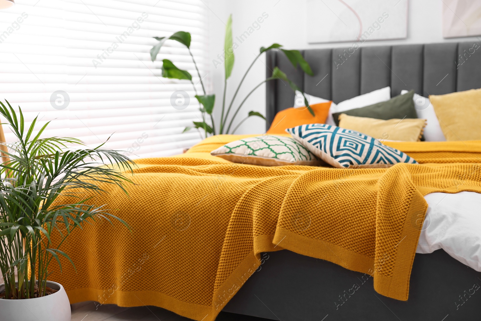 Photo of Bright plaid and colorful pillows on bed in stylish bedroom. Interior design