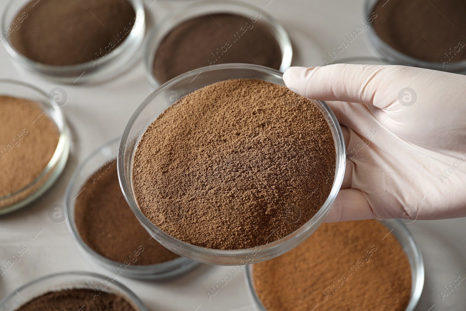 Photo of Woman holding Petri dish with soil sample over table, closeup. Laboratory research