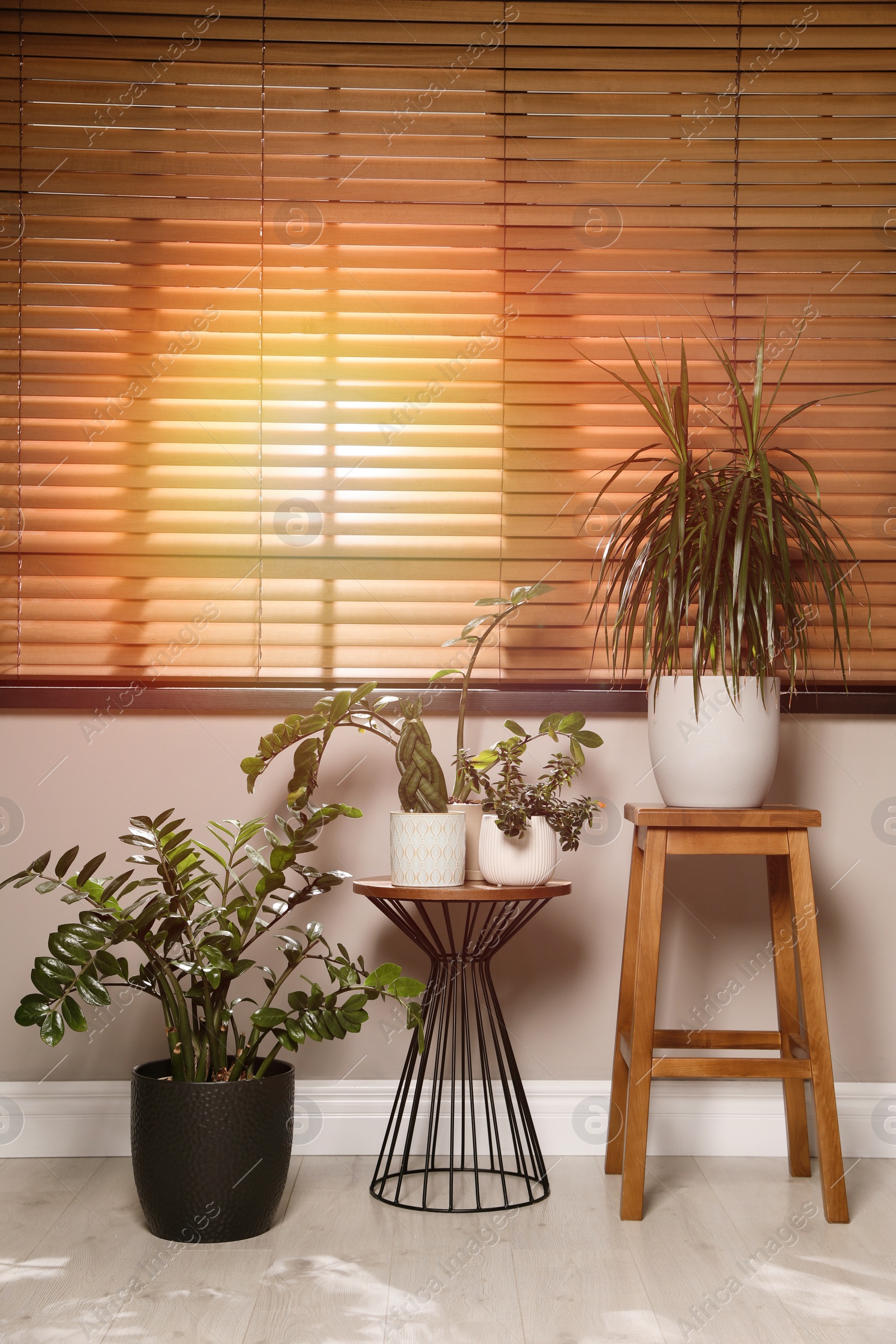 Photo of Different houseplants on floor near window. Interior design