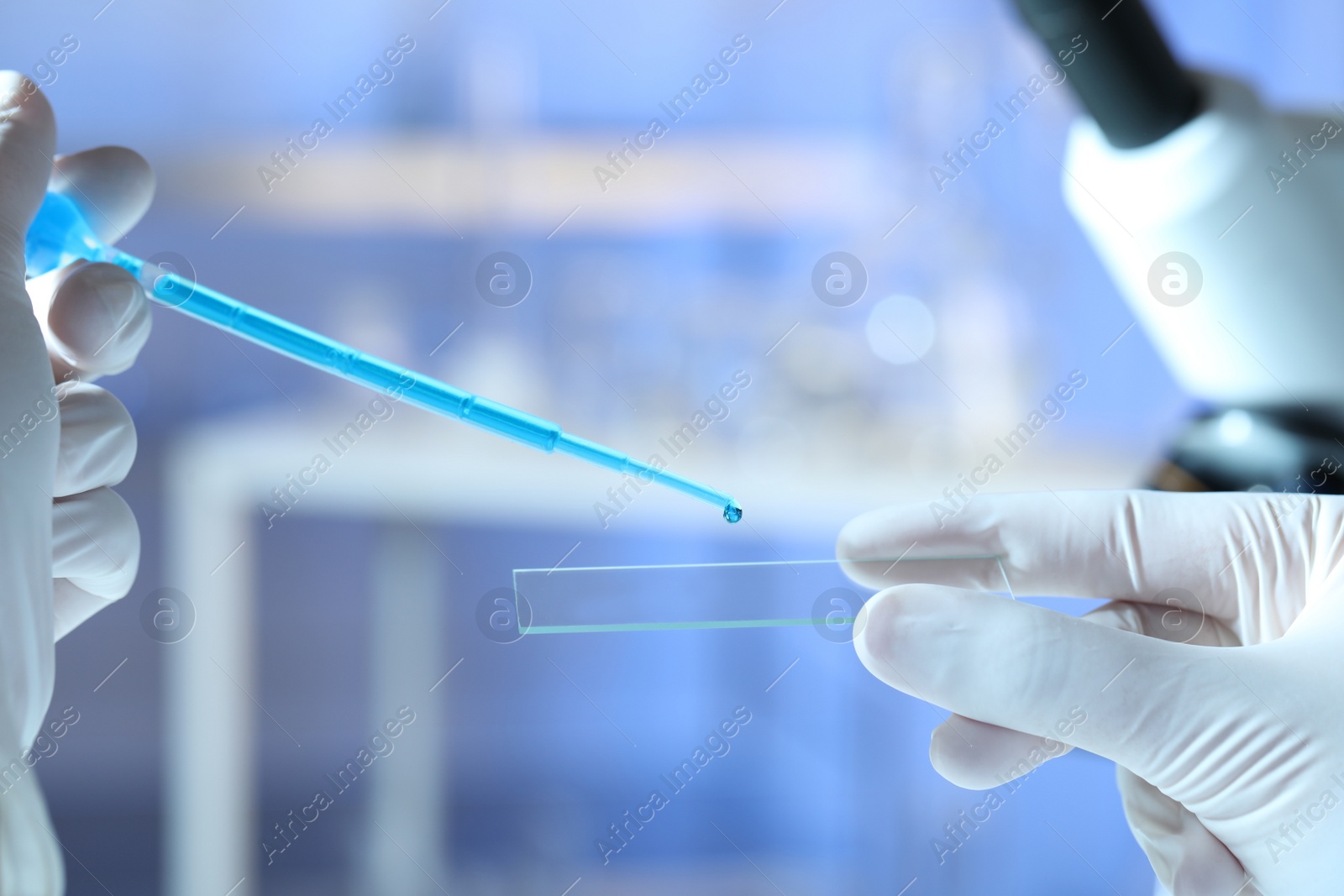 Photo of Scientist dripping sample of light blue liquid onto microscope slide in laboratory, closeup