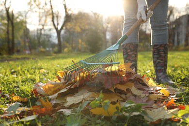 Photo of Woman raking fall leaves in park, closeup. Space for text