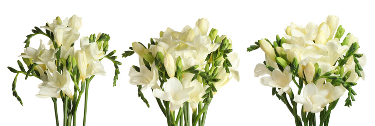 Image of Set with beautiful fragrant freesia flowers on white background. Banner design