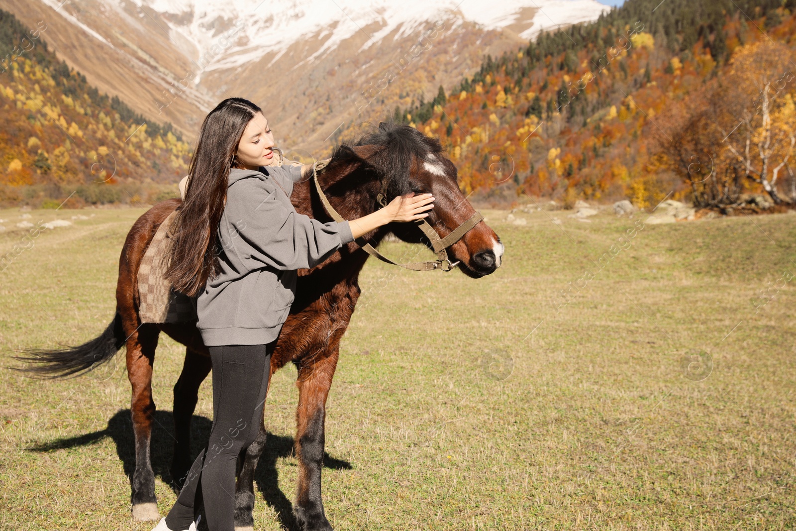 Photo of Young woman stroking horse in mountains on sunny day. Beautiful pet