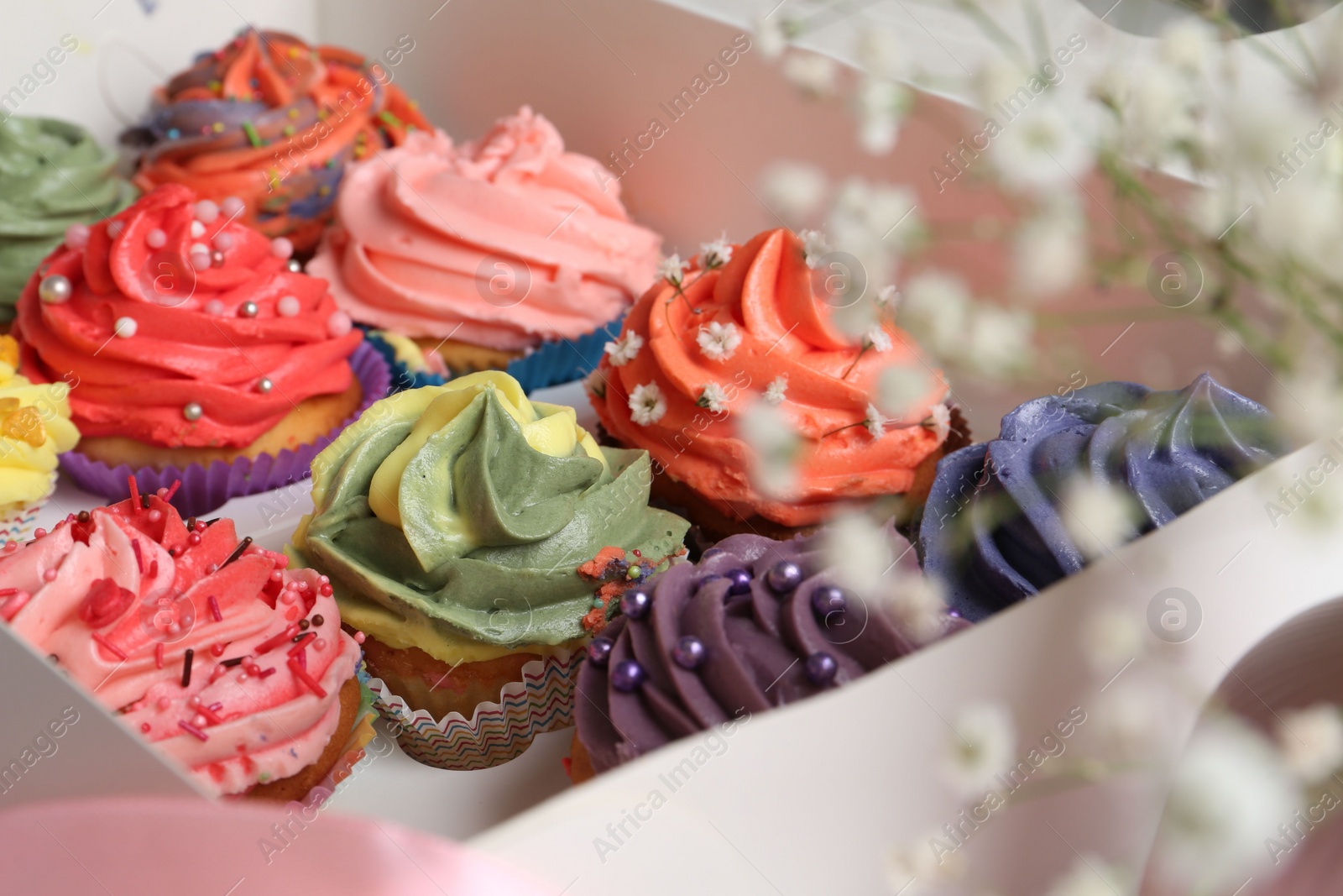 Photo of Different colorful cupcakes in box, closeup view