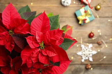 Poinsettia (traditional Christmas flower) and holiday items on wooden table, top view. Space for text