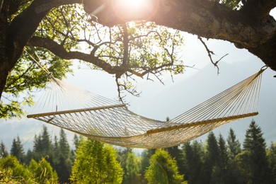 Comfortable net hammock outdoors on sunny day