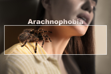 Image of Closeup view of woman with tarantula, focus on spider. Arachnophobia