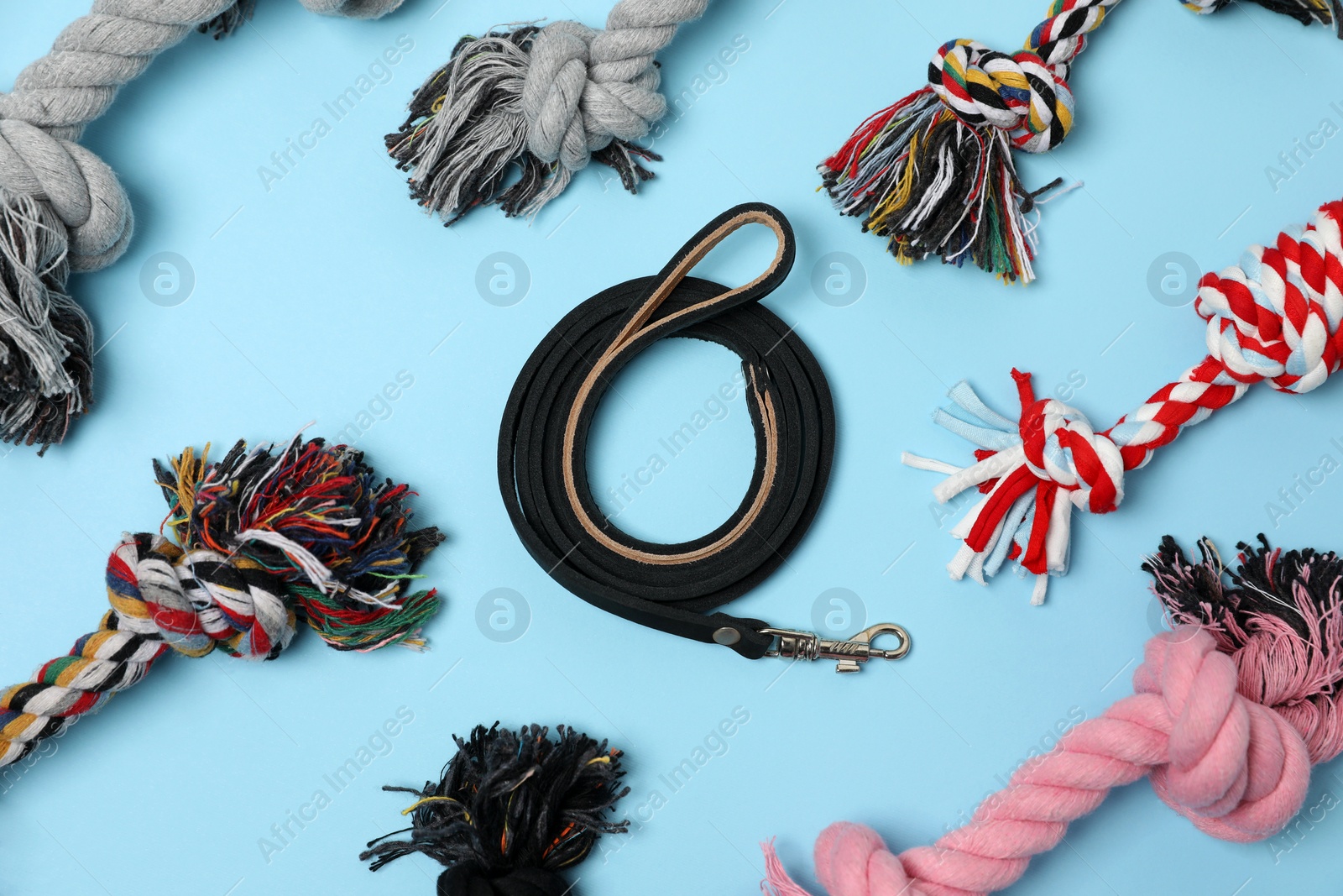 Photo of Flat lay composition with dog leash and toys on light blue background