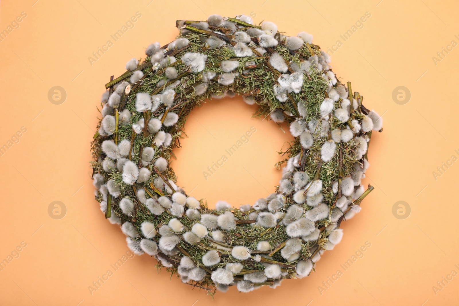 Photo of Wreath made of beautiful willow flowers on orange background, top view