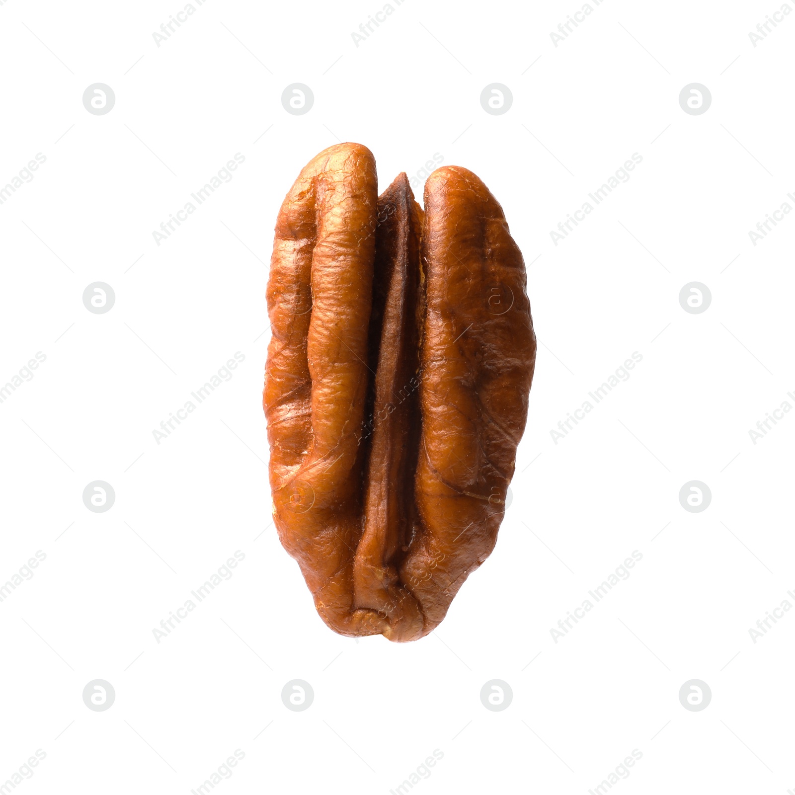 Photo of One tasty pecan nut isolated on white